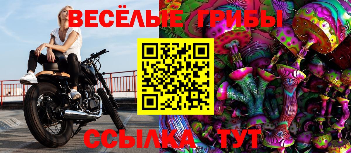 Псилоцибиновые грибы Psilocybine cubensis  Вход с VPN  продажа наркотиков  Таганрог 